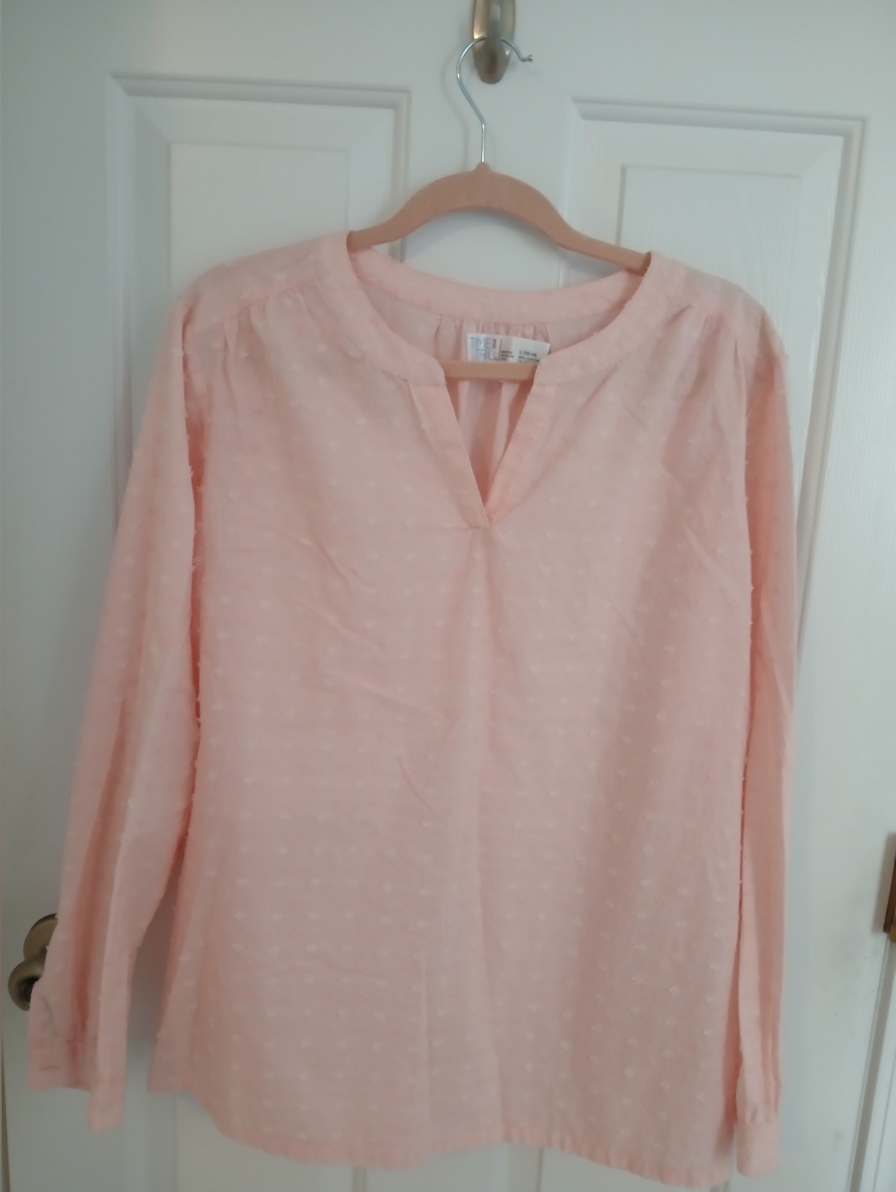 Time and Tru Light Pink Swiss Dot Blouse, Size L 12-14